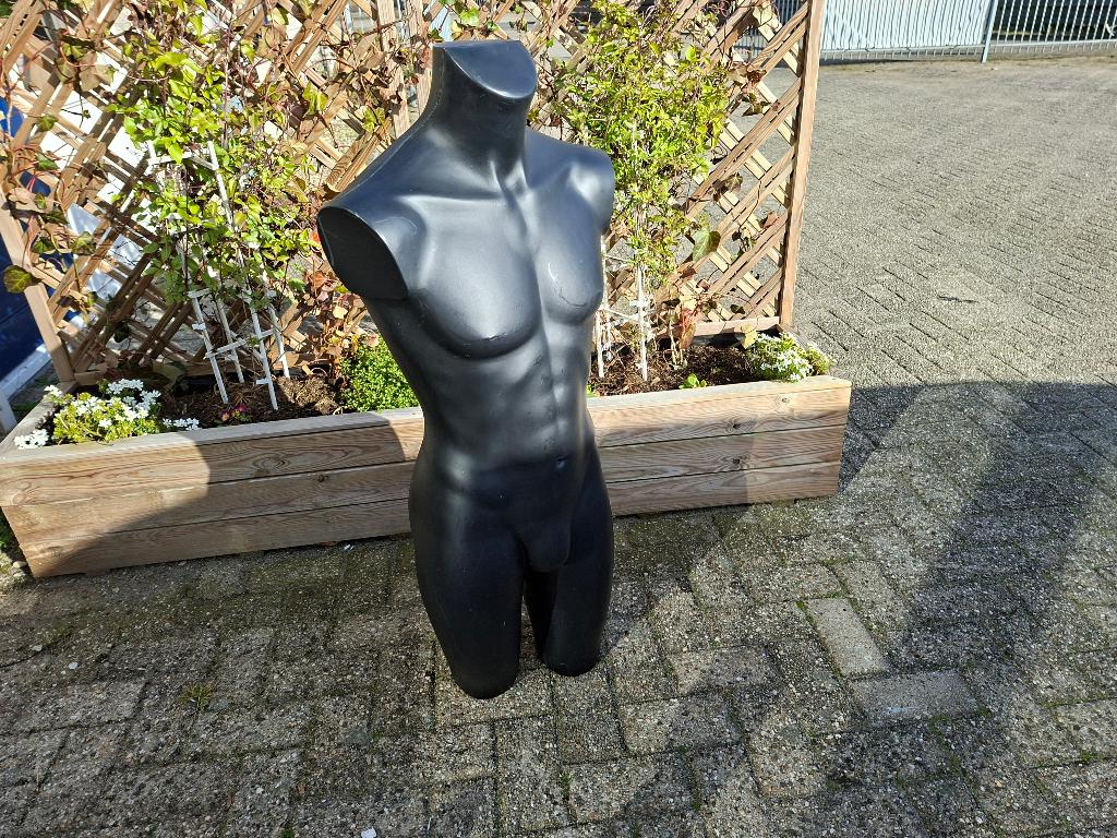 schitterende mannen torso beeld, Ophalen of Verzenden, Zo goed als nieuw, Mens