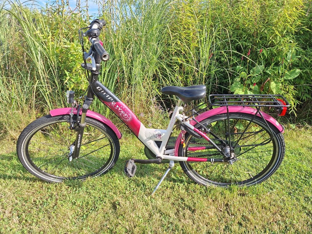 Alpina fiets 24 inch, Ophalen, Terugtraprem, Alpina, Versnellingen