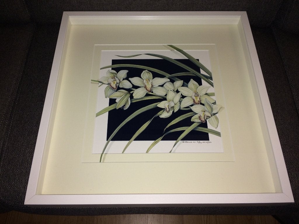 Hennie van Dijk genummerd print in lijst (52x52) Cymbidium, Ophalen, Zo goed als nieuw, 52 cm, 52 cm