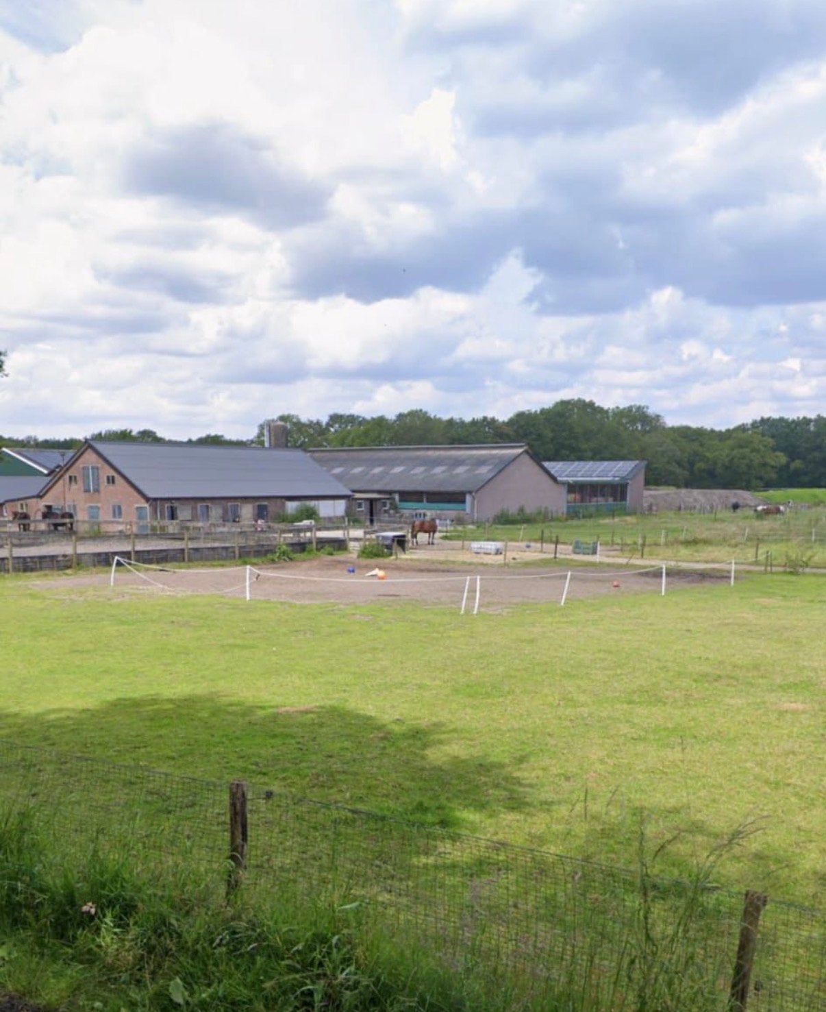 Stalgenoot gezocht omgeving Leersumse Bos, 1 paard of pony