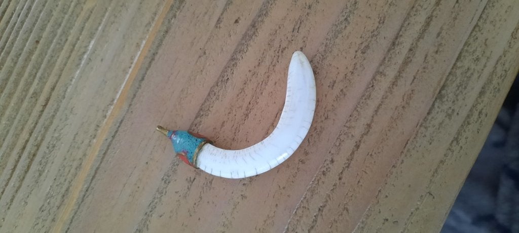 Oude hanger tand, Tibet., Ophalen of Verzenden, Overige materialen, Hanger, Met edelsteen