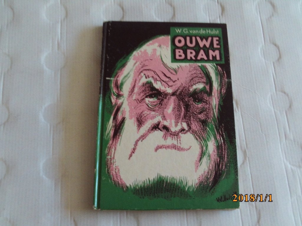 ouwe bram - w.g. van de hulst, Boeken, Ophalen of Verzenden, Gelezen, Fictie algemeen