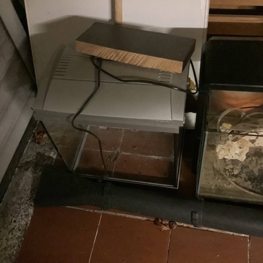 Aquarium groot en kleine, Ophalen, Gebruikt, Inclusief slangen, Overige merken