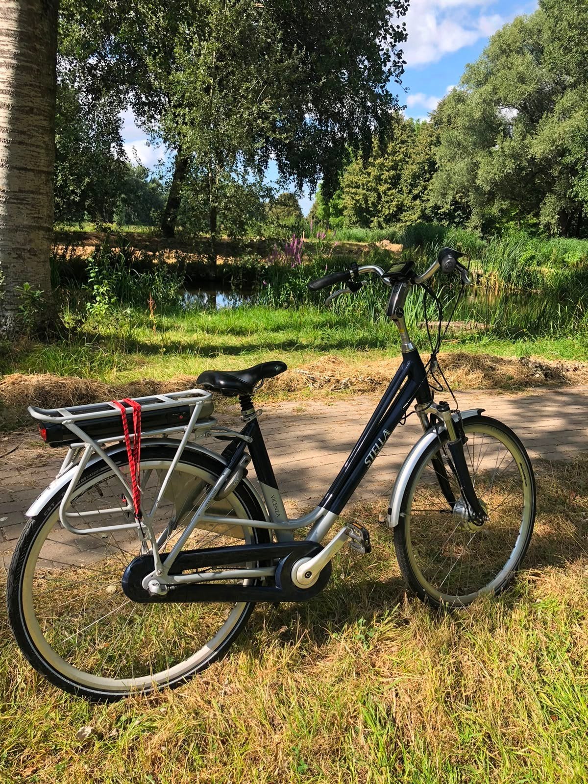 Electrische fiets Stella Vicenza Elite Class, Fietsen en Brommers, Fietsen | Dames | Damesfietsen, Zo goed als nieuw, Overige merken