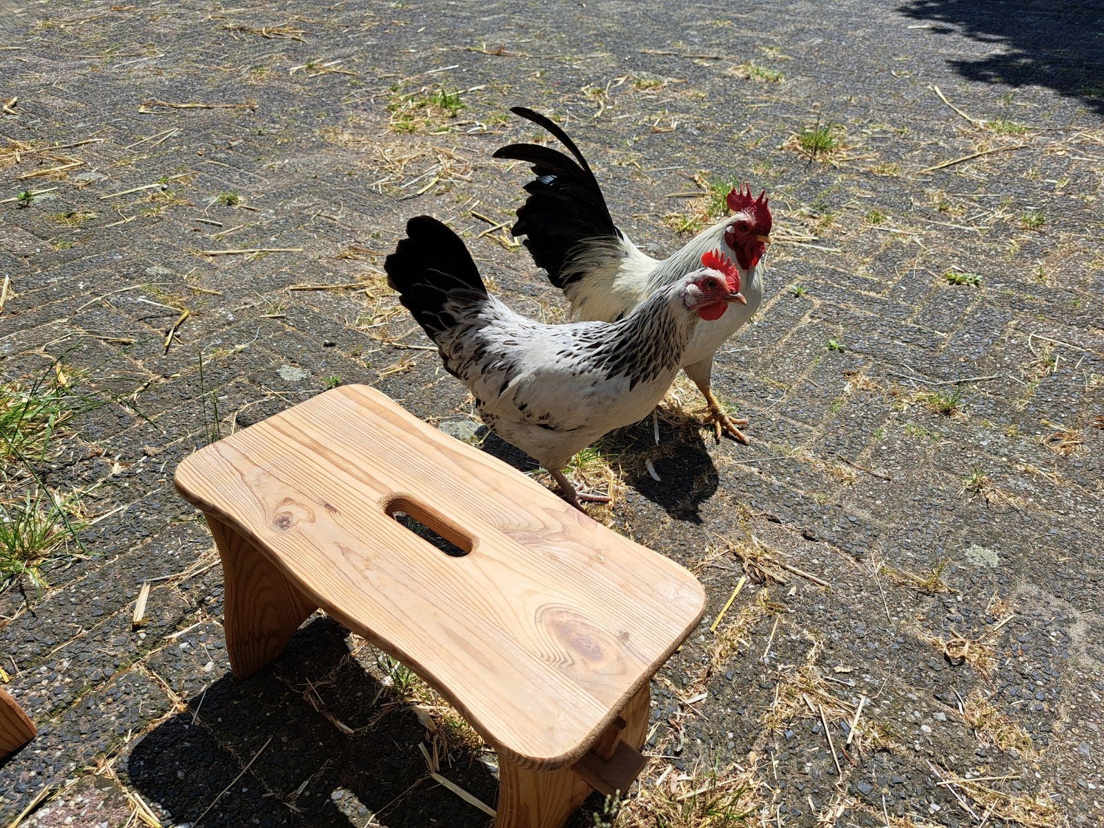 2 Leuke Oude Vintage Houten Krukjes / Voetenbankjes, Ophalen of Verzenden, Zo goed als nieuw, Hout