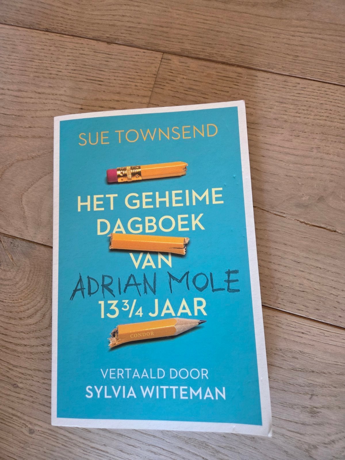 Het geheime dagboek van Adrian Mole 13 3/4 jr - Sylvia Witt, Ophalen of Verzenden