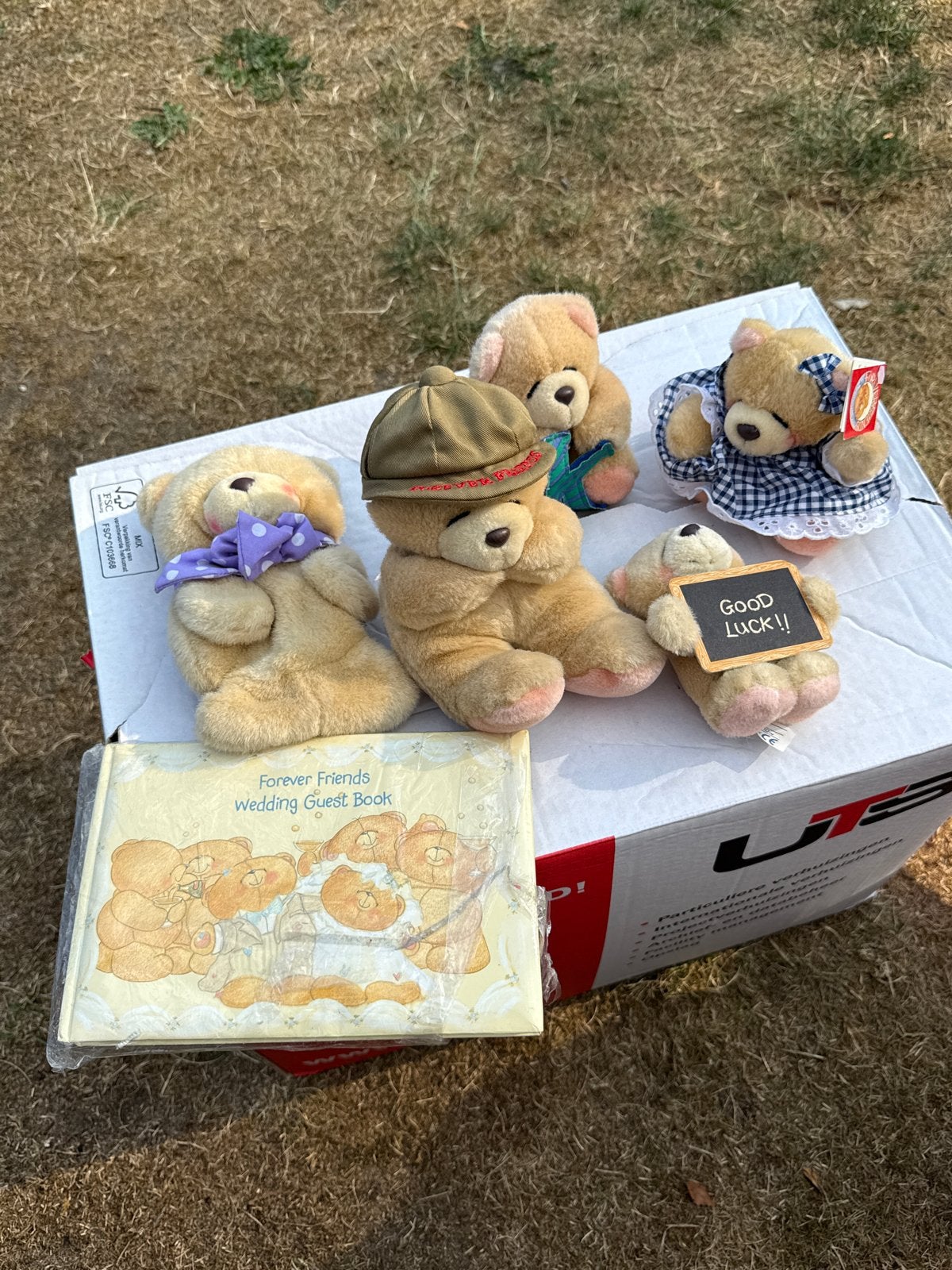 Forever Friends knuffelberen en gastenboek, Gebruikt, Overige merken, Overige karakters, Beer