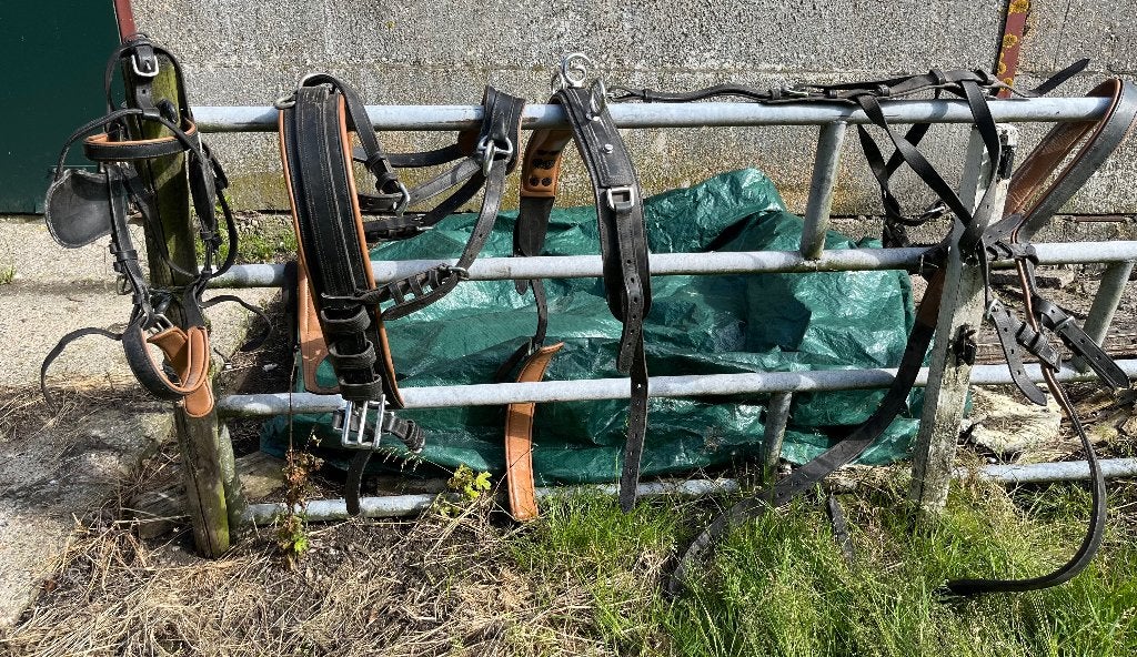 Mentuig 2 span, Dieren en Toebehoren, Ophalen, Gebruikt, BR, Mentuig