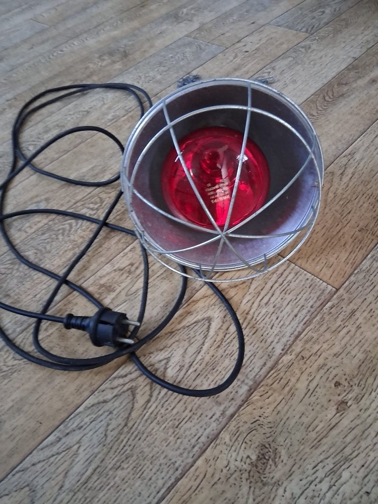 Warmtehouder incl. lamp, Ophalen of Verzenden, Zo goed als nieuw, Overige typen