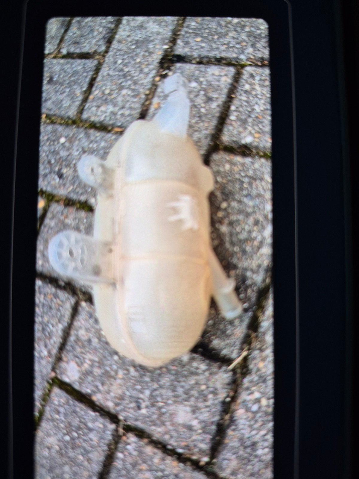opel insigna, Ophalen of Verzenden, Opel