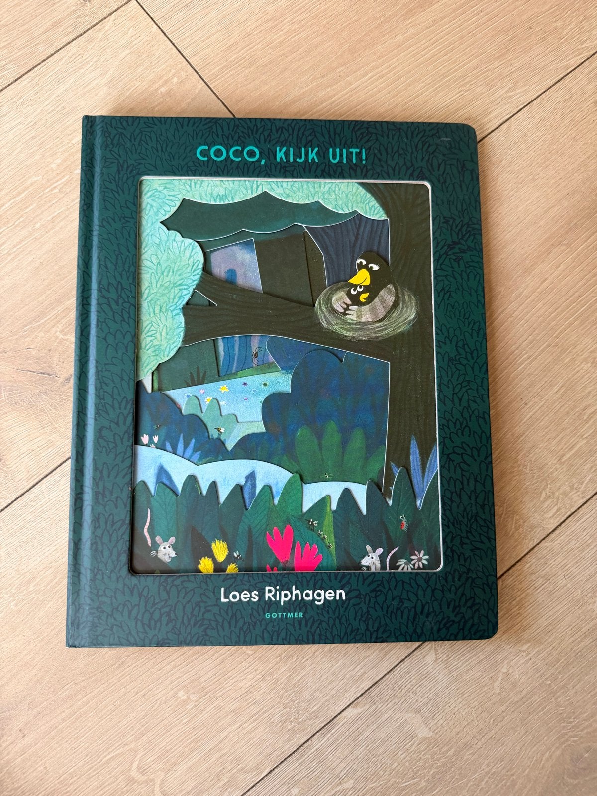 Coco, Kijk Uit! - Loes Riphagen (Gottmer), Ophalen, Fictie algemeen, Uitklapboek, Jongen of Meisje