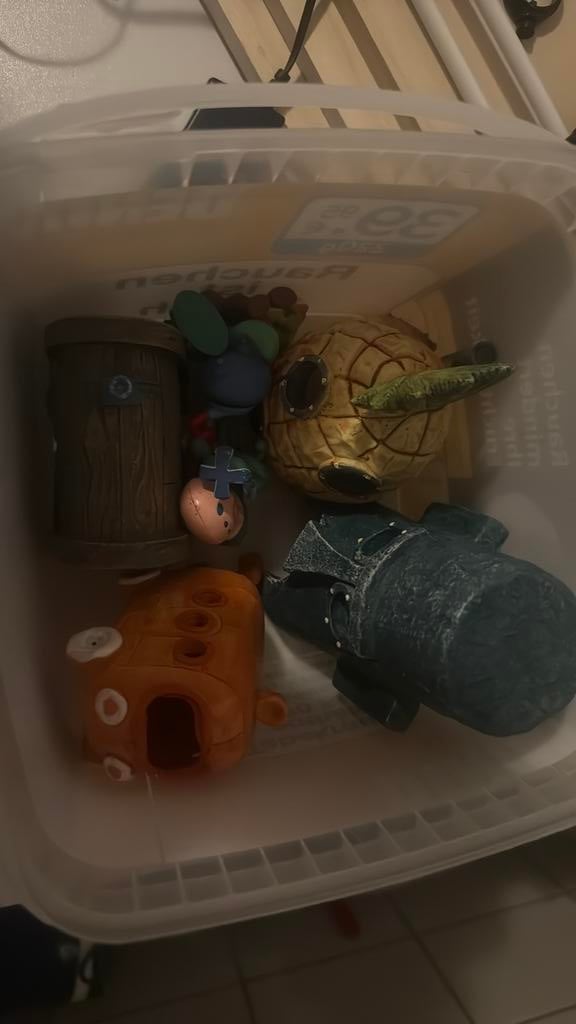 SpongeBob spullen voor een aquarium, Ophalen
