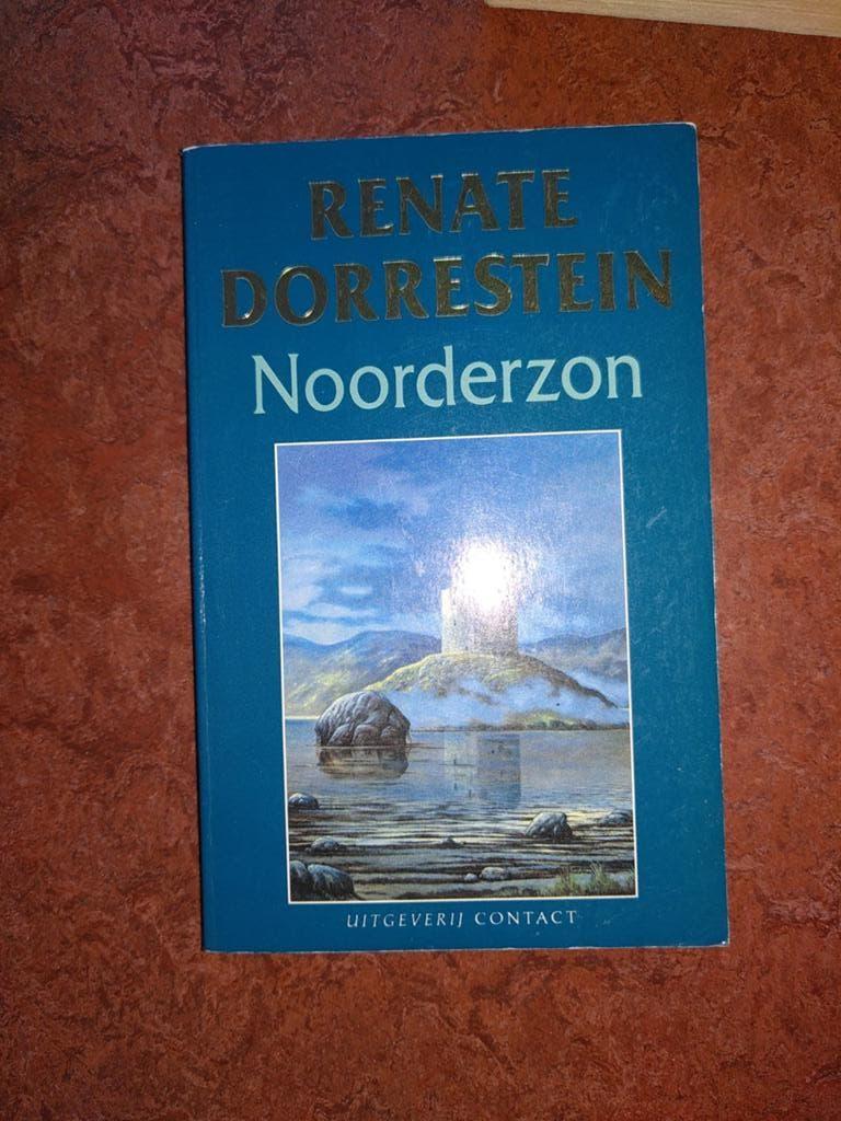 Noorderzon van Renate Dorrestein. Paperback, Ophalen of Verzenden, Gelezen, Nederland