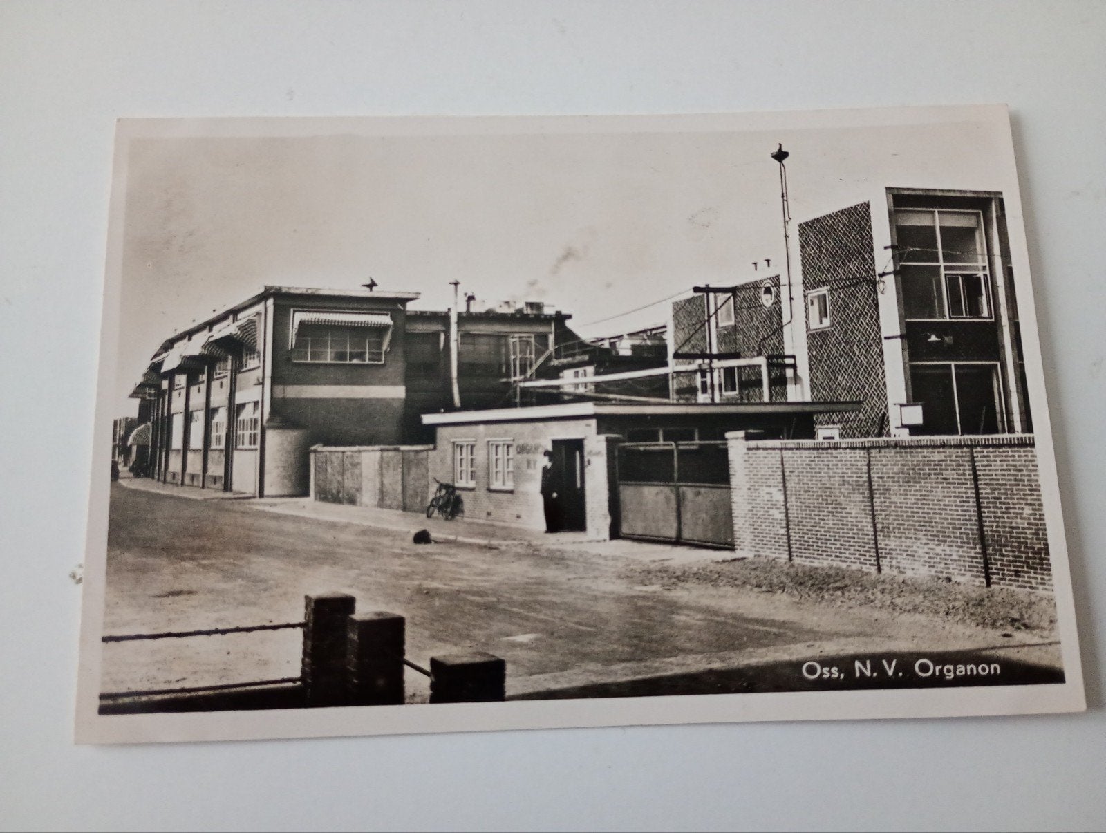 Oss Fabriek N.V. Organon, Ophalen of Verzenden, 1940 tot 1960, Ongelopen, Noord-Brabant