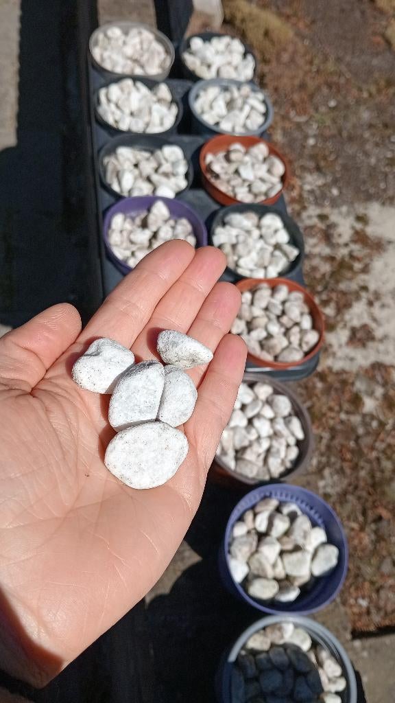 Gratis witte kiezelstenen 1,2 m2, Tuin en Terras, Grind, Keien en Split, Ophalen, Gebruikt, Wit, Grind