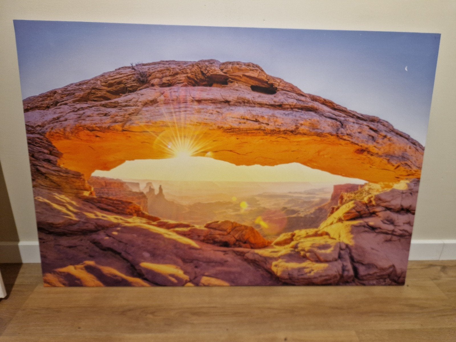 2 Canvas schilderijen: Leeuw en Mesa Arch, Ophalen, Zo goed als nieuw, Schilderij, 100 tot 125 cm