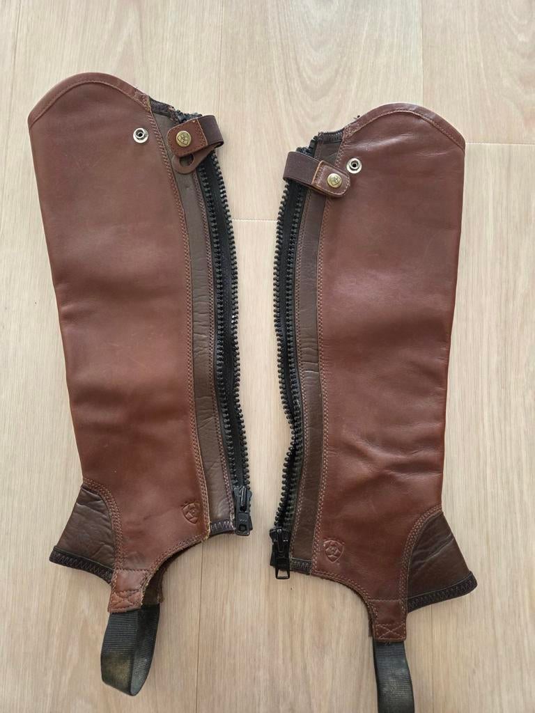 Ariat Concord chaps maat SM bruin, Dieren en Toebehoren, Paardrijkleding, Ophalen of Verzenden, Zo goed als nieuw, Dames, Schoeisel