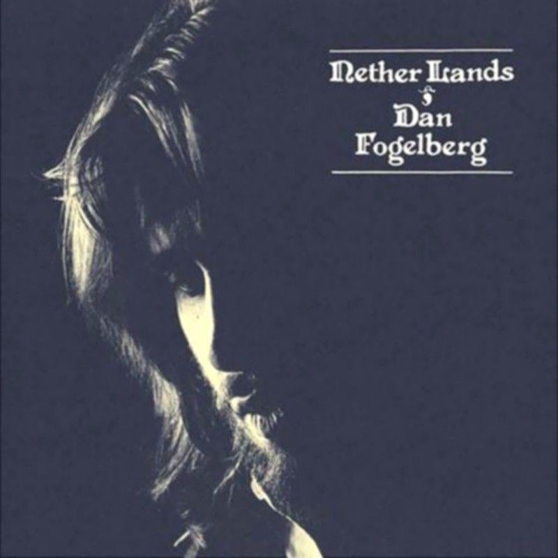 dan fogelberg   nether lands, Ophalen of Verzenden, Zo goed als nieuw, Poprock