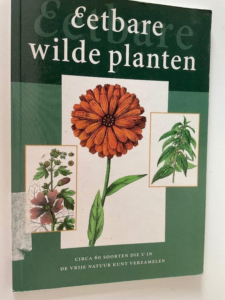 Louis de Koning: Eetbare wilde planten. Circa 60 soorten, Ophalen of Verzenden, Gelezen, Bloemen, Planten en Bomen, Louis de Koning