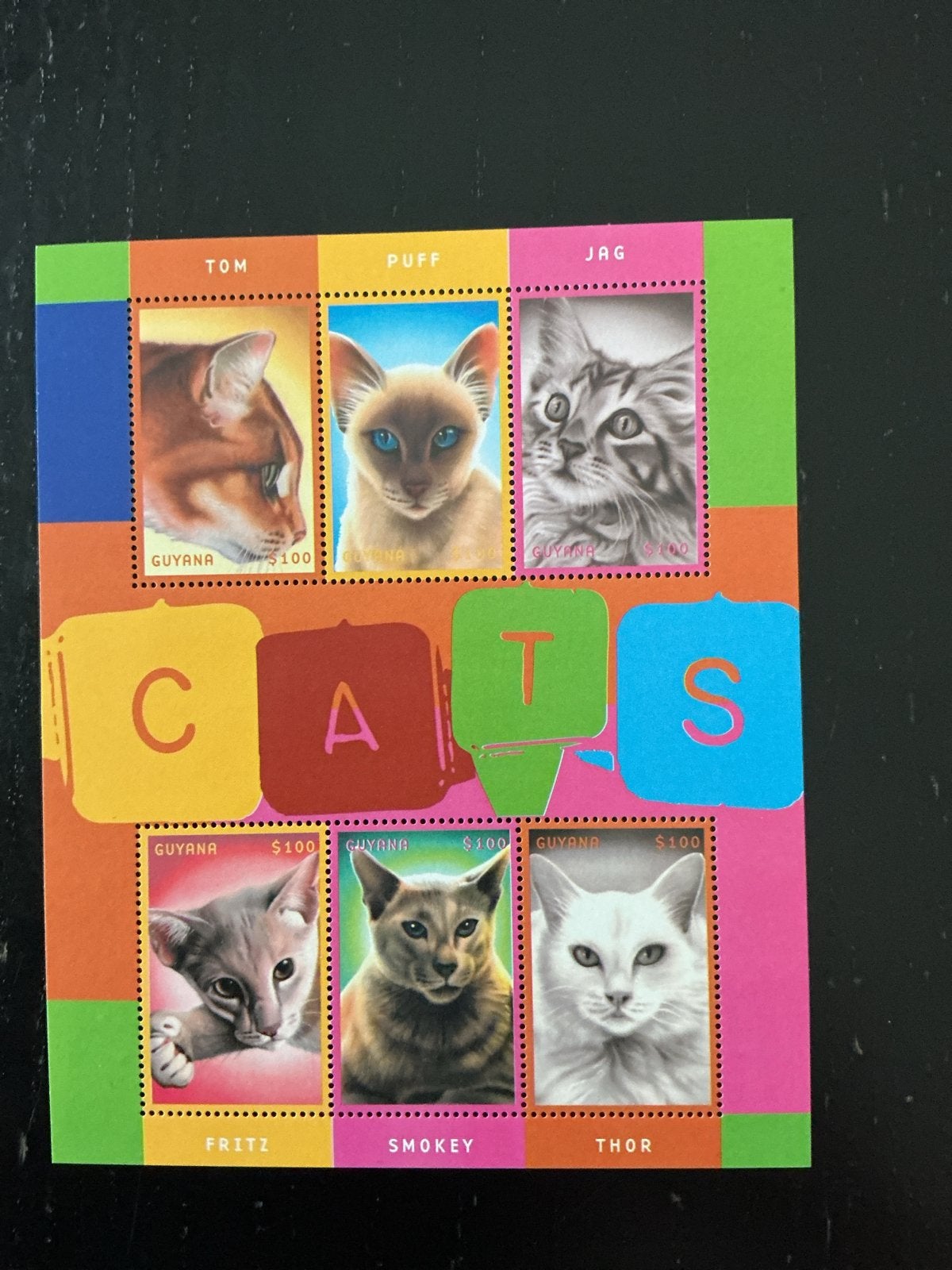 Postzegelvel Guyana - Katten (Cats) - Onbeschreven, Ophalen of Verzenden