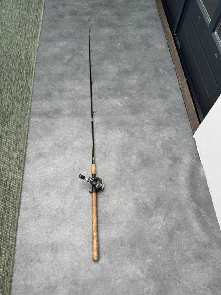 Mooie snoek hengel met reel, Ophalen of Verzenden, Gebruikt, Complete set