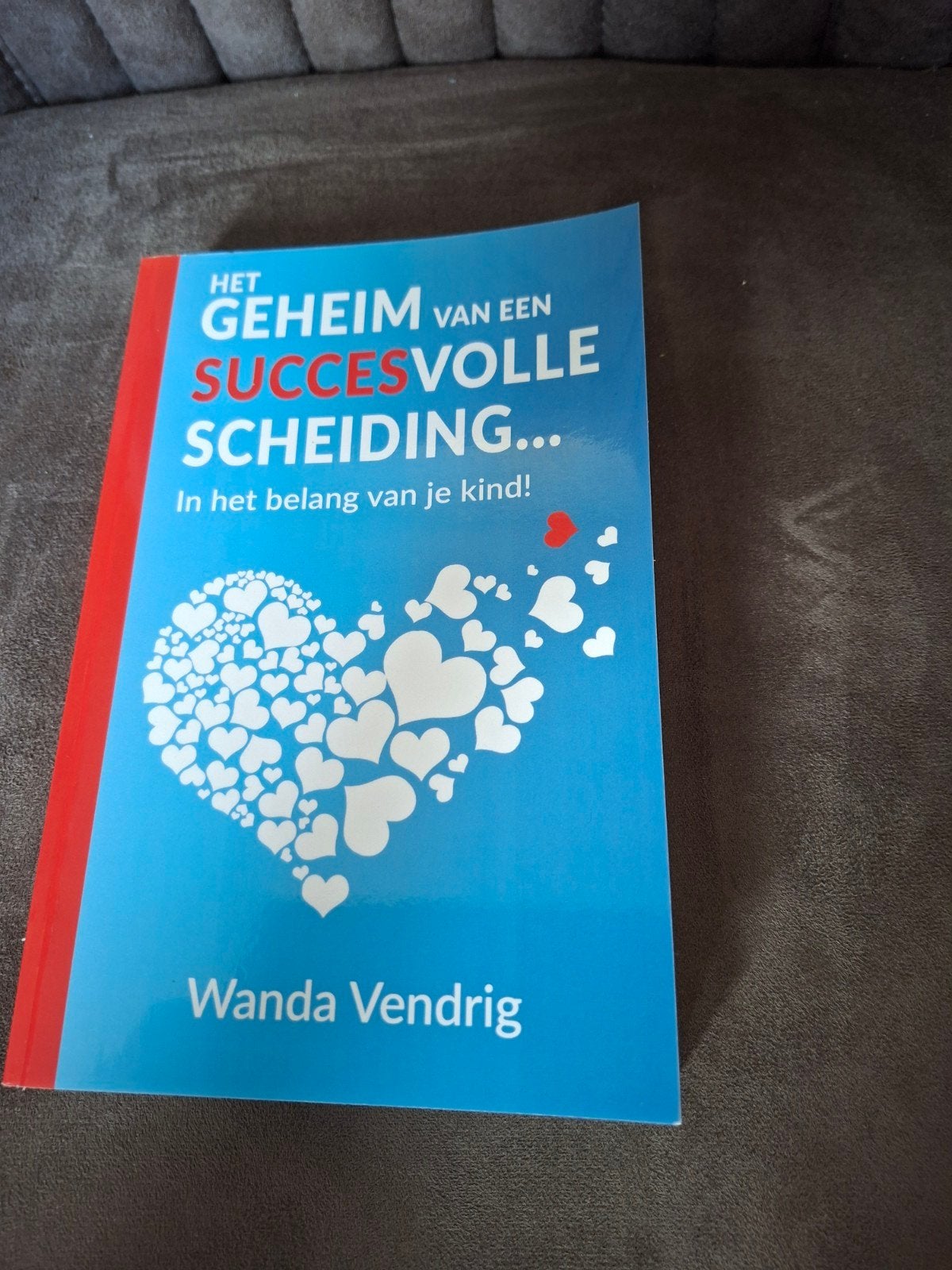 Het Geheim van een Succesvolle Scheiding - Wanda Vendrig, Ophalen of Verzenden, Zo goed als nieuw, Opvoeding vanaf 10 jaar, Wanda Vendrig
