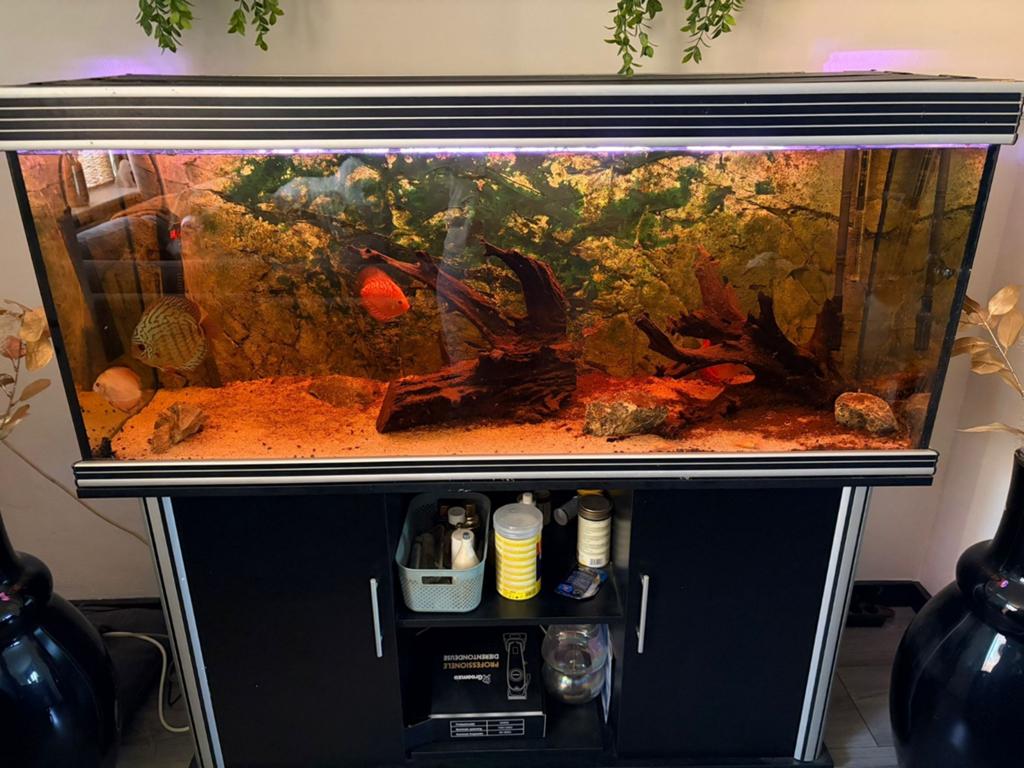 Groot aquarium, Ophalen of Verzenden, Zo goed als nieuw