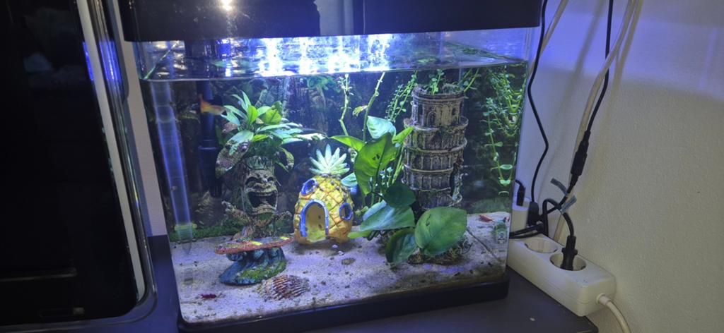SuperFish Panorama 35 LED Aquarium, Ophalen of Verzenden, Zo goed als nieuw, Leeg aquarium