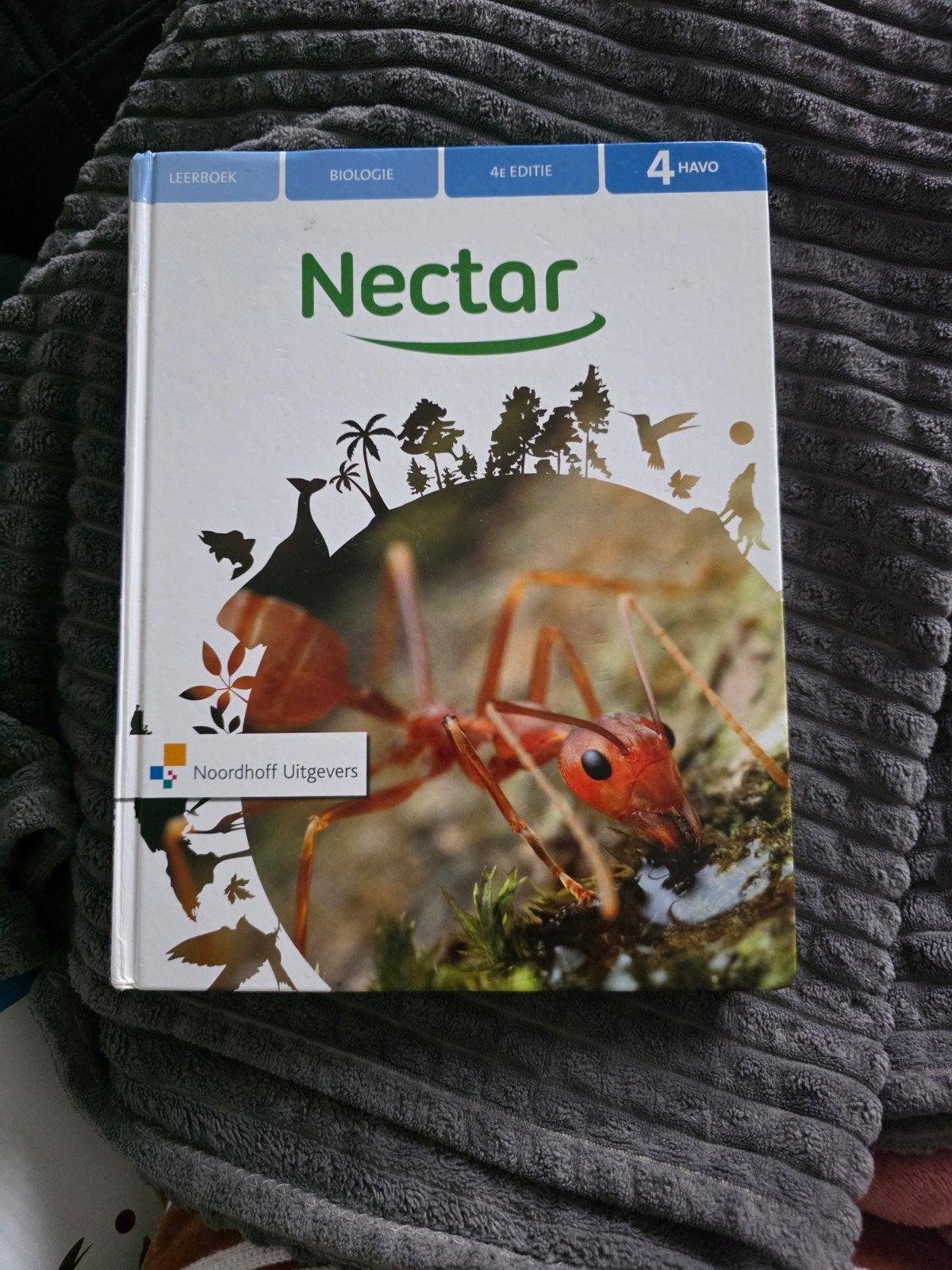 Leerboek, Ophalen of Verzenden, Zo goed als nieuw