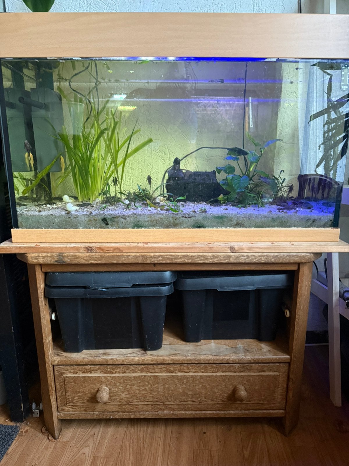 Compleet aquarium, Ophalen, Zo goed als nieuw, Gevuld zoetwateraquarium
