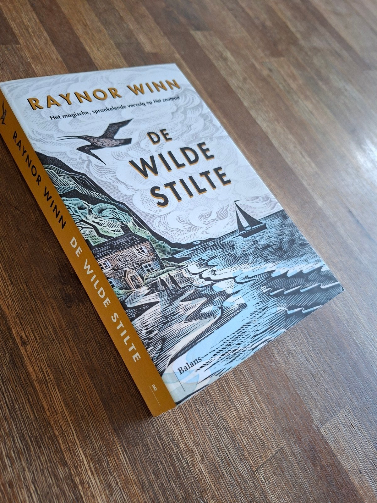 De wilde stilte van Raynor Winn, Ophalen of Verzenden, Gelezen, Europa