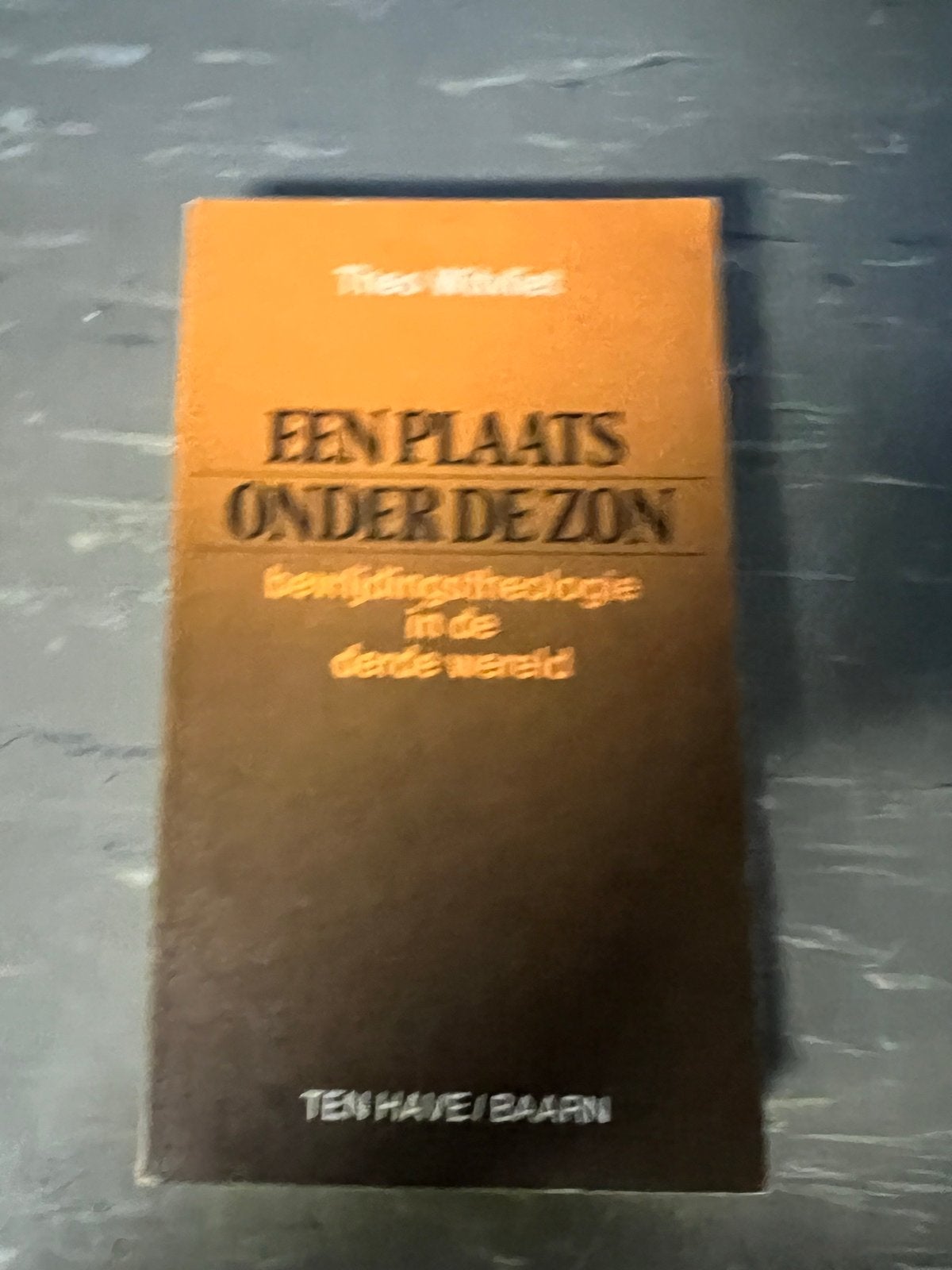 Een Plaats Onder De Zon - Bevrijdingstheologie, Ophalen of Verzenden, Gelezen, Christendom | Protestants