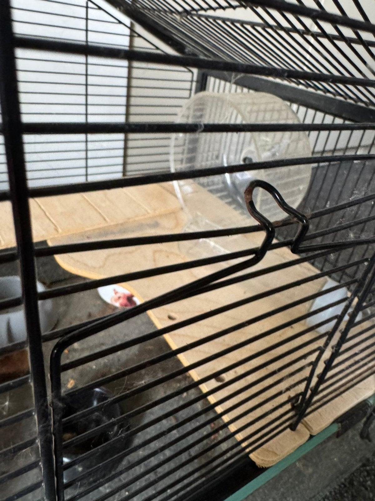 Leuk hokje voor een hamster of vogel, Dieren en Toebehoren, Minder dan 60 cm, Minder dan 75 cm, Ophalen of Verzenden, Hok