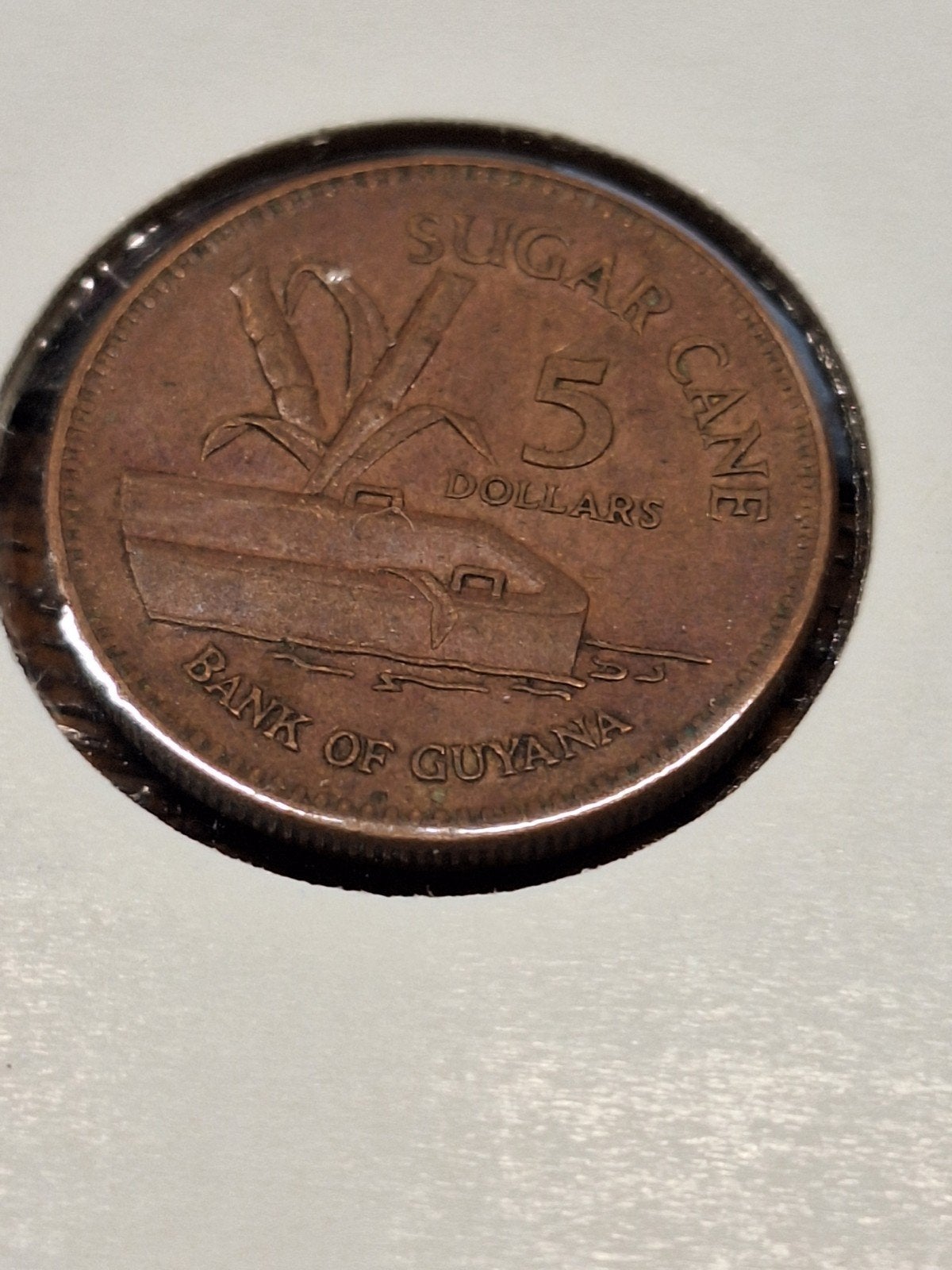 Guyana 5 dollars 1996, Ophalen of Verzenden, Zuid-Amerika