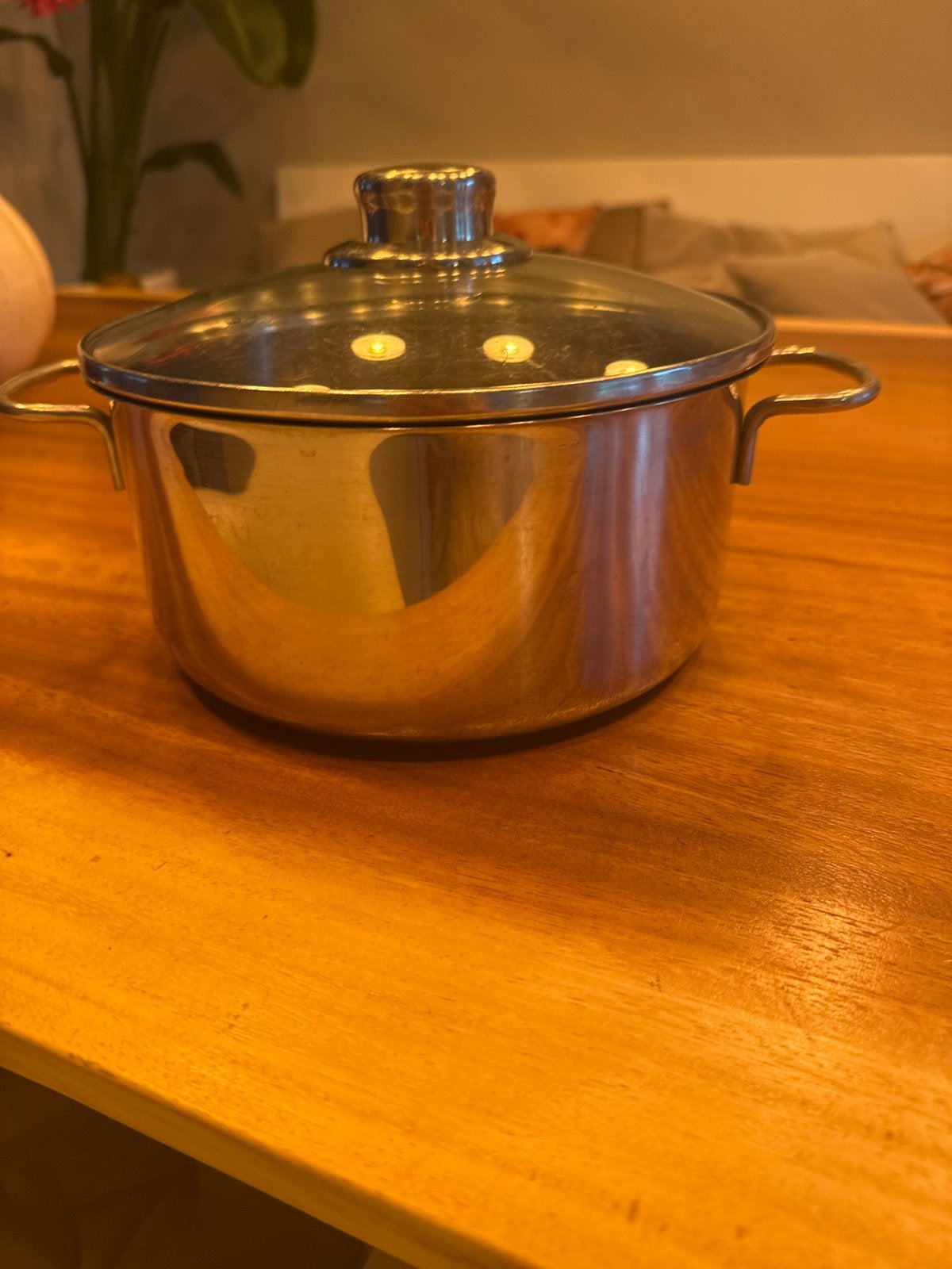 RVS Kookpan met Deksel - 21 cm Diameter, Gebruikt, Met deksel, Ophalen of Verzenden, Rvs