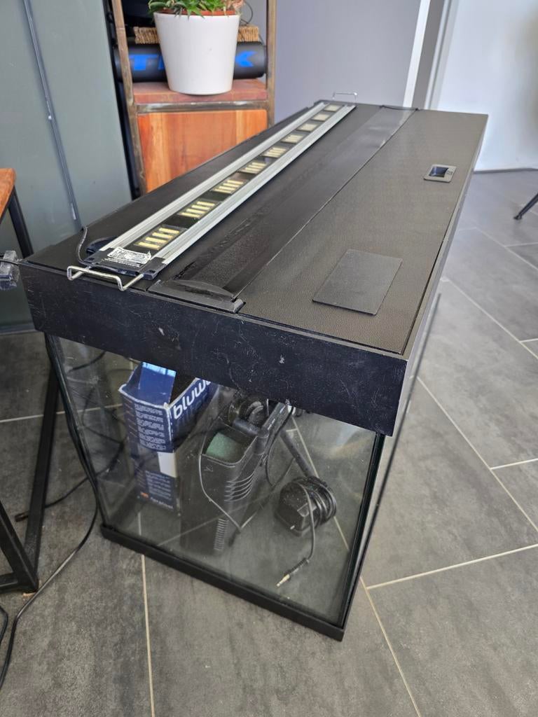 Juwel Aquarium 100cm x 50cm x 40 cm., Ophalen, Leeg aquarium