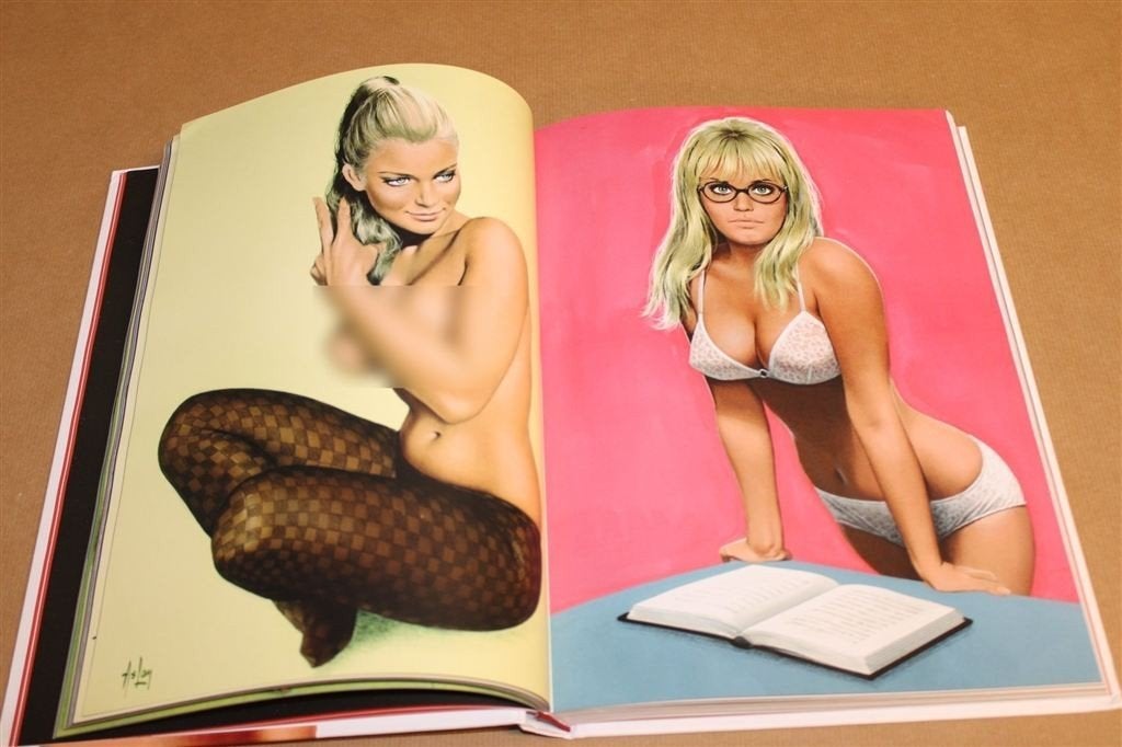 Les Pin-Up dAslan — Alle 250 Pin-Ups uit Lui, Met Kalender, Ophalen of Verzenden, Zo goed als nieuw