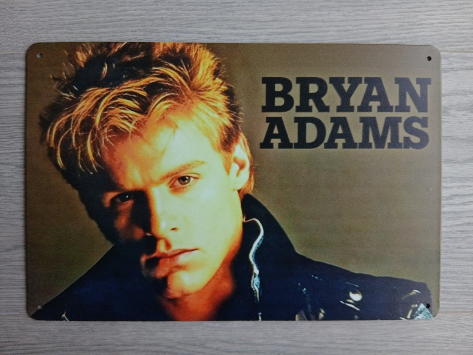 Bryan Adams 20x30 cm Metalen Reclamebord, Verzamelen, Ophalen of Verzenden, Nieuw, Poster, Artwork of Schilderij