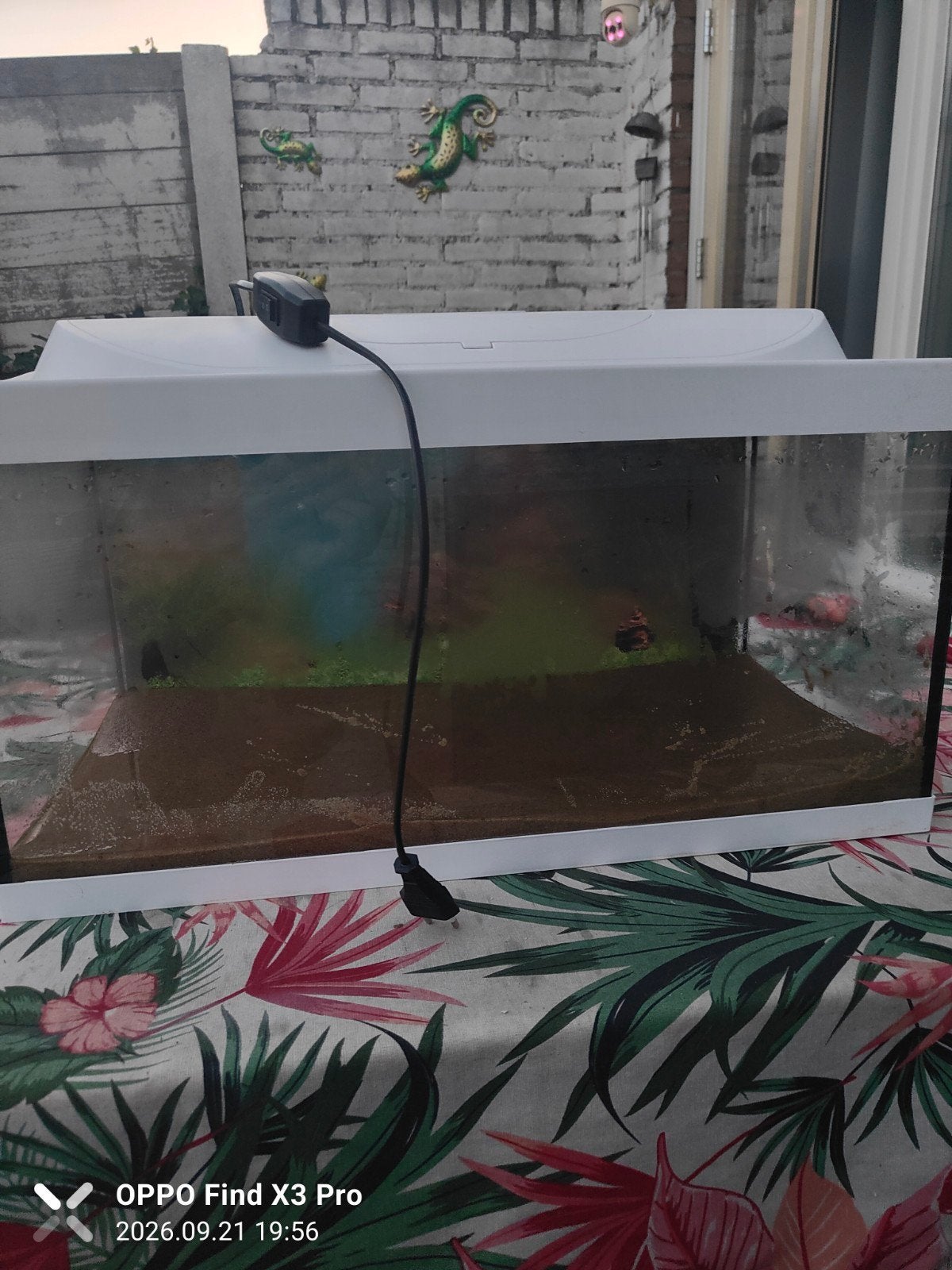 Tetra Aquarium, Dieren en Toebehoren, Ophalen, Zo goed als nieuw, Tetra, Inclusief deksel