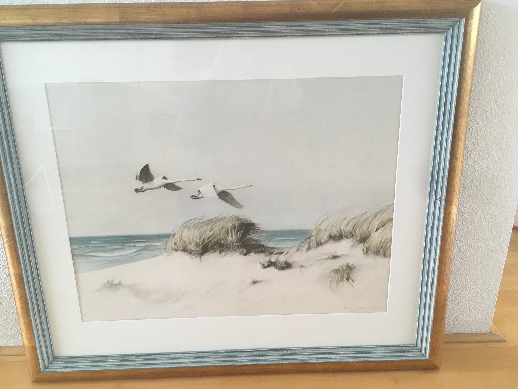 Zee, duinen en zwanen, Ophalen, Realistisch, Achter glas, Landschap
