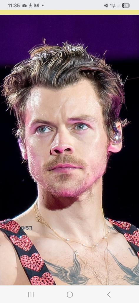 2 kaarten Harry Styles, 26 mei, Twee personen, November