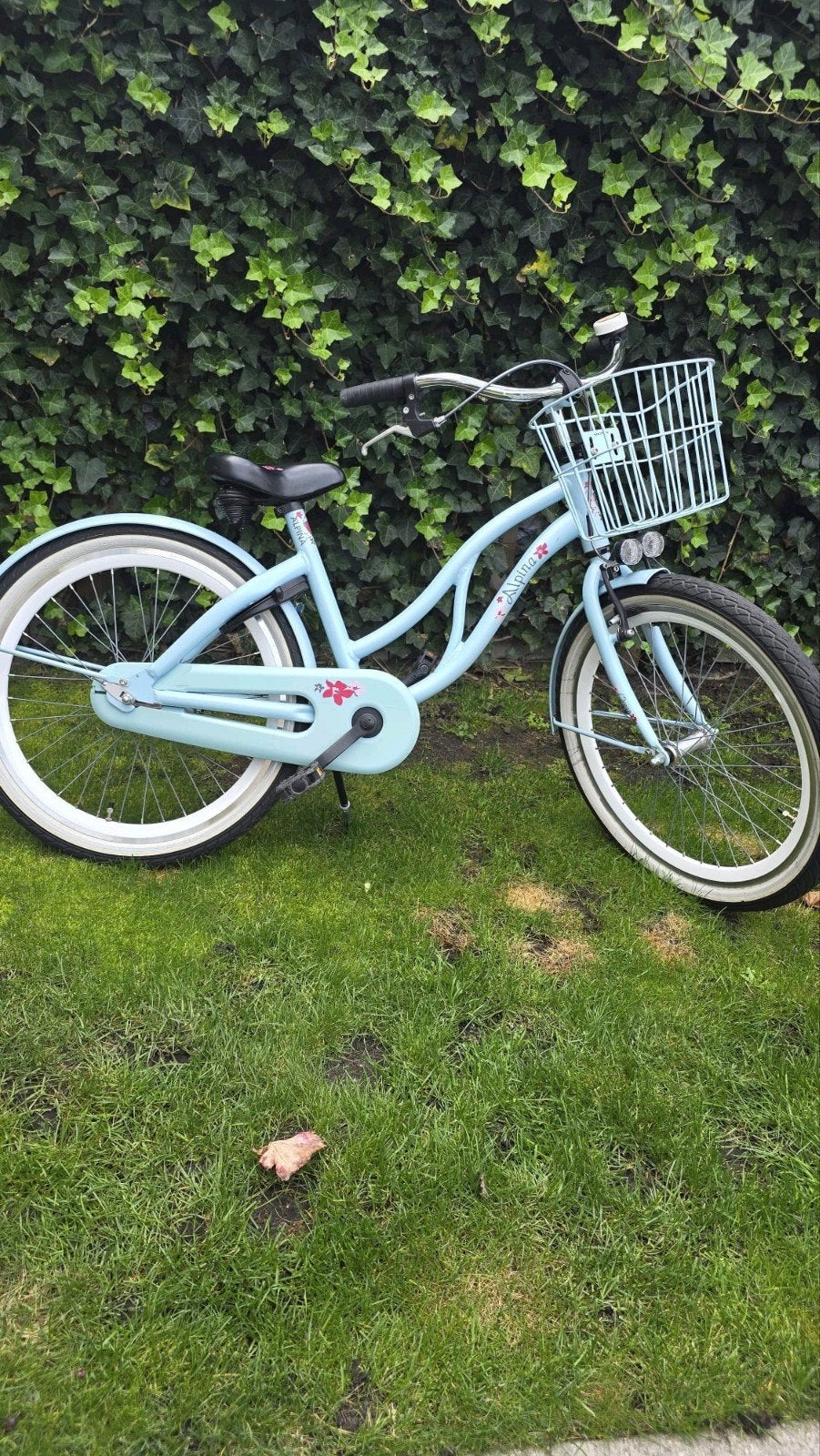 Alpina Ocean 22 inch stoere meisjesfiets, Fietsen en Brommers, Fietsen | Meisjes, Ophalen, Zo goed als nieuw, 22 inch
