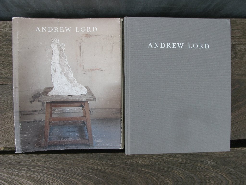 KUNST BOEK ANDREW LORD 2010, Boeken, Gelezen, Beeldhouwkunst, Ophalen of Verzenden, Meerdere auteurs