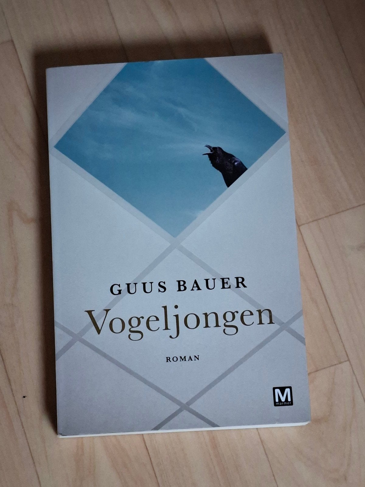 GESIGNEERD Vogeljongen. Guus Bauer. 2016, Ophalen of Verzenden, Gelezen