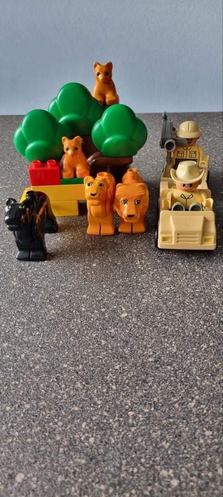 Duplo Safari Set 2681 met Leeuwen en Panter, Kinderen en Baby's, Speelgoed | Duplo en Lego, Gebruikt, Overige thema's, Ophalen of Verzenden