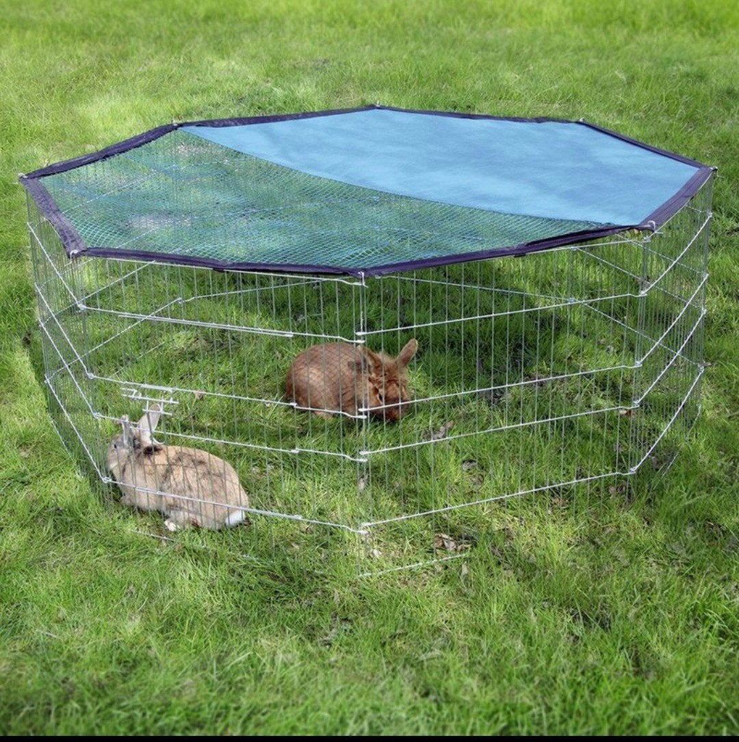 grote ren voor knaagdieren, Ophalen, 110 cm of meer, Ren, Minder dan 60 cm