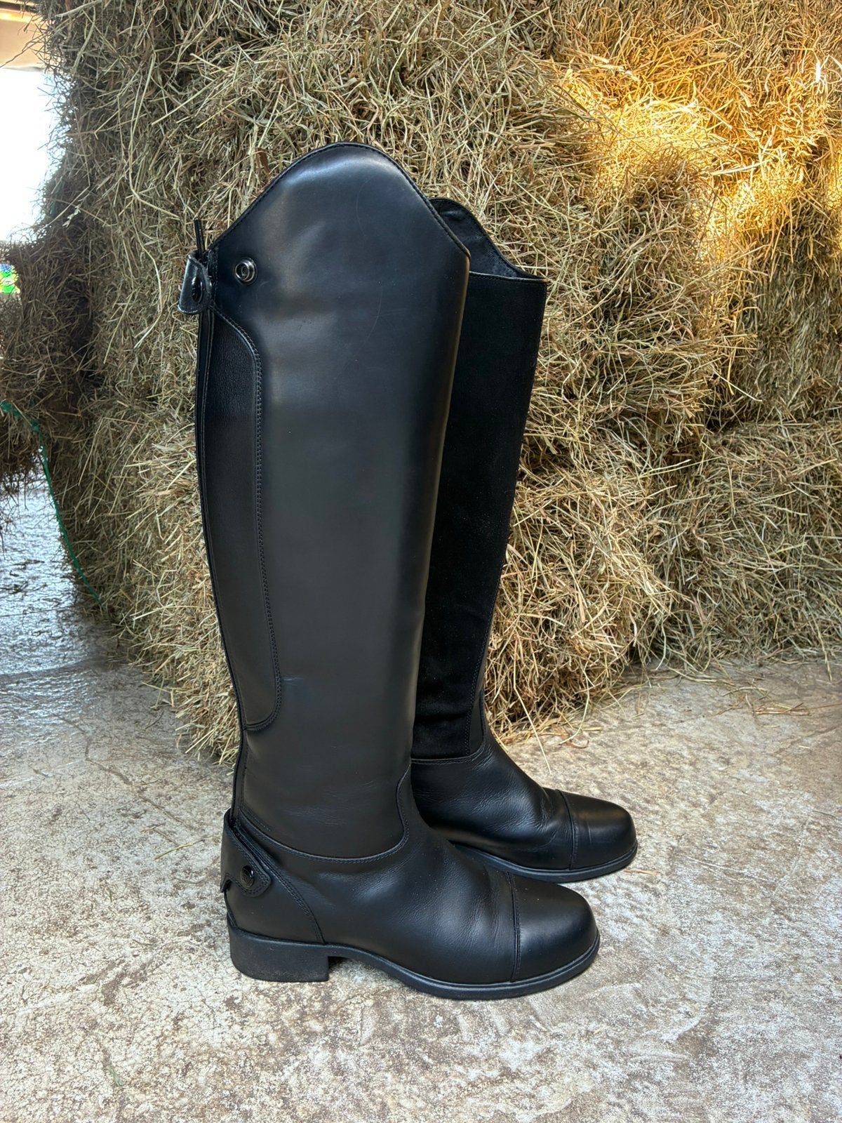 Nieuwe Ariat dressuurlaarzen mt 39, Ritssluiting, Dressuur, Nieuw, Ophalen of Verzenden