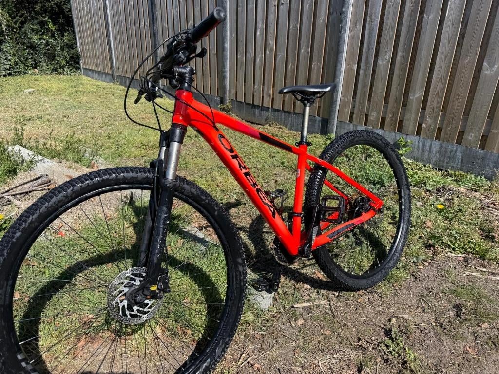Orbea mx20 (mt 54), Gebruikt, Hardtail, 53 tot 57 cm, Ophalen