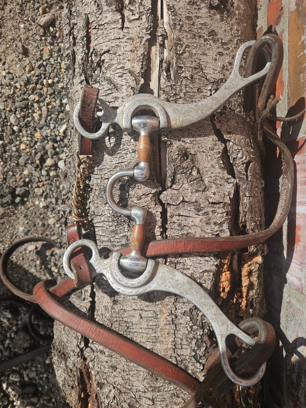 scherp bit voor decoratie, Ophalen of Verzenden, Inclusief teugels, Bit