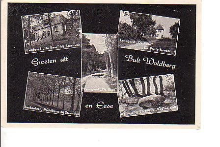 Ansichtkaart 	De Bult, Woldberg en Eese	5-luik, Verzamelen, Verzenden, 1940 tot 1960, Gelopen, Overijssel